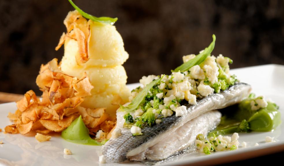 Devon’s Best Fish Restaurants The Devon Daily